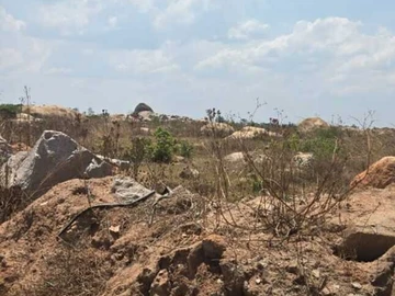 Commercial & Industrial Land