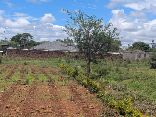 Commercial & Industrial Land