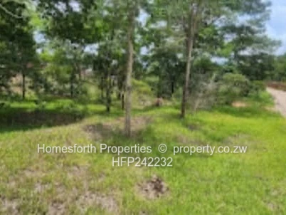 Carrick creagh stand for sale (Sole Mandate)