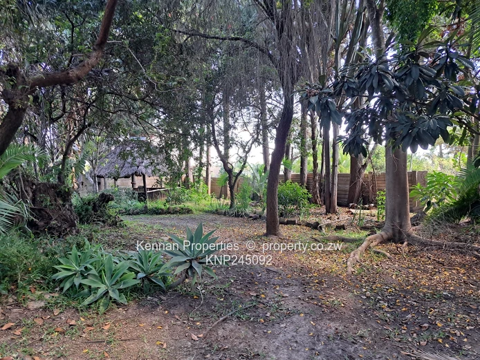 3 Bed Neat Family home for Sale