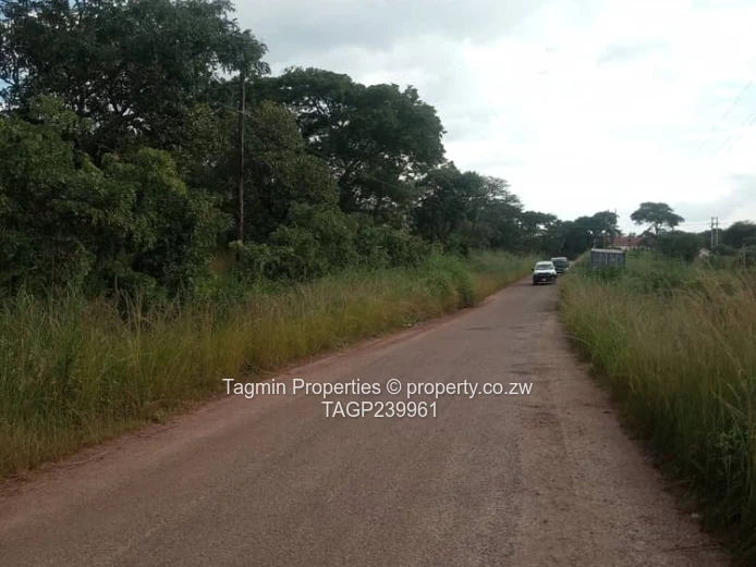 Shawasha hills stand