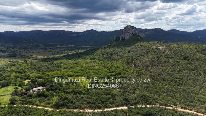 Nyanga Agricultural Plots