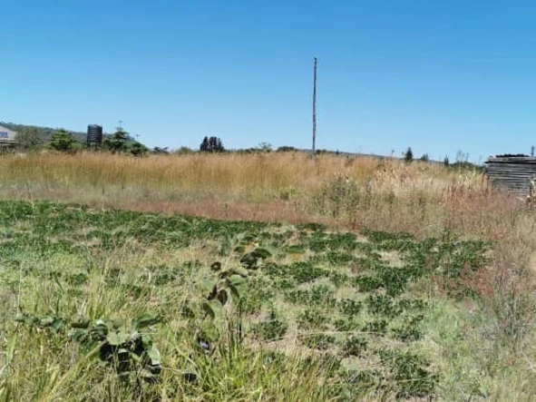 Stands & Residential Land