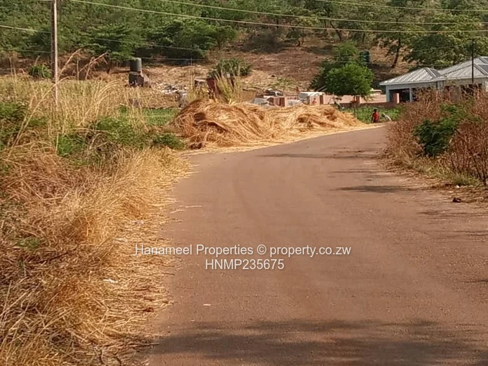 Glen lorne  (Sole Mandate)