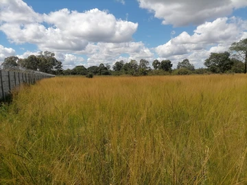 Farm & Agricultural Land