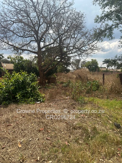 Residential Stand For Sale