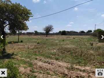 Farm & Agricultural Land