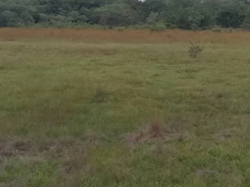 Farm & Agricultural Land