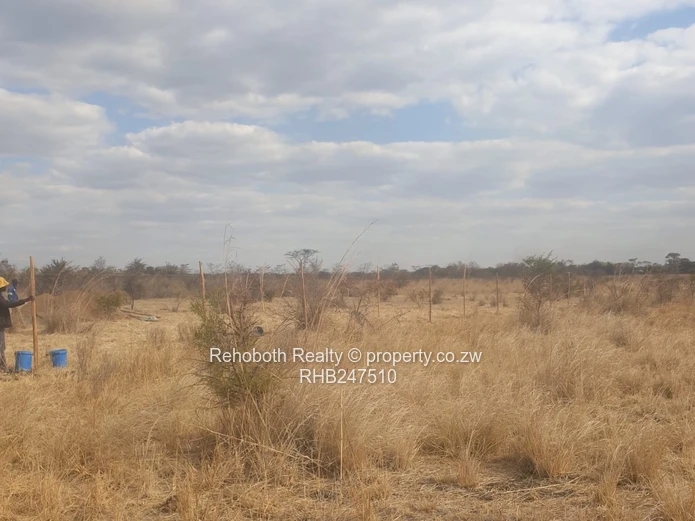 2.5ha Fenced Dry Grassland in Selous - Ideal Homestead