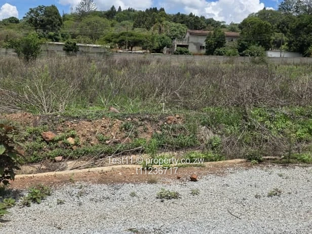 Borrowdale Brooke , A piece of real estate