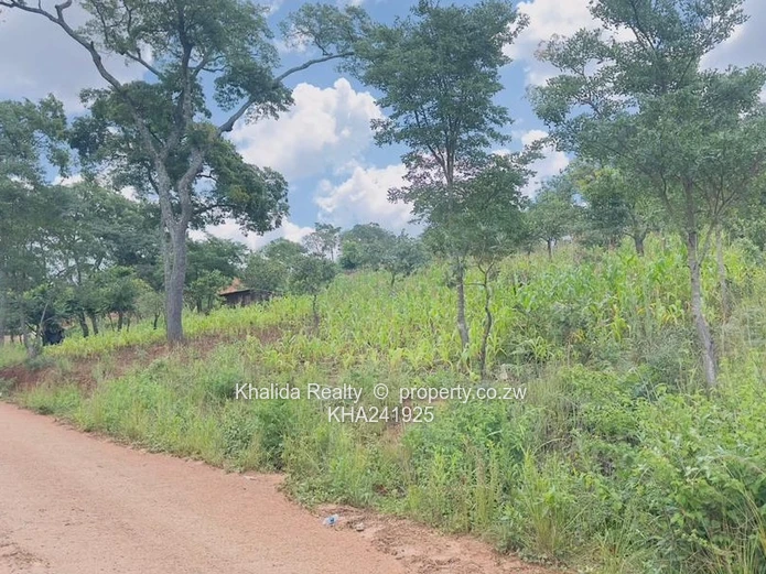 Gletwin Stand for Sale 