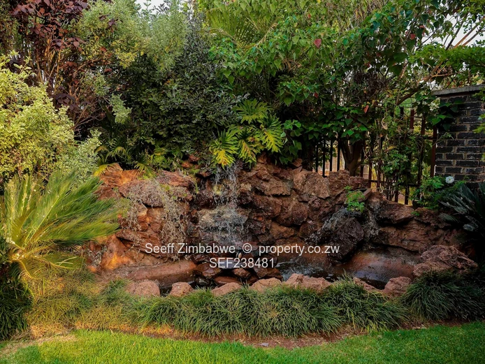 Shawasha Hill For Rent