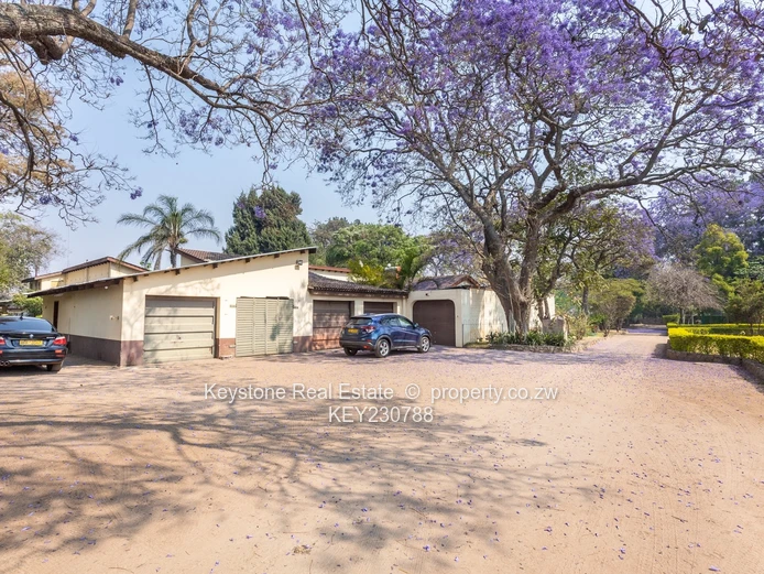 Exceptional Investment Opportunity: 3-Acres, 5 Houses Commercial Zoned 