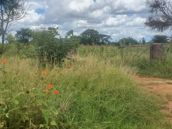 Farm & Agricultural Land