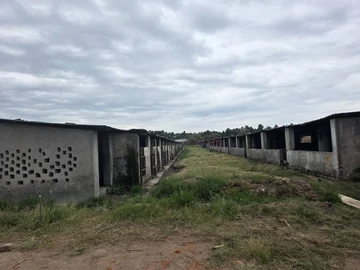 Farm & Agricultural Land