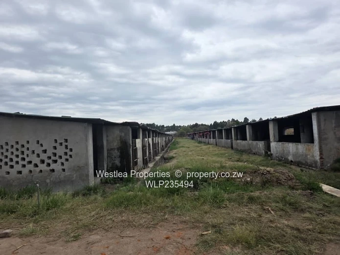 An opportunity not to miss