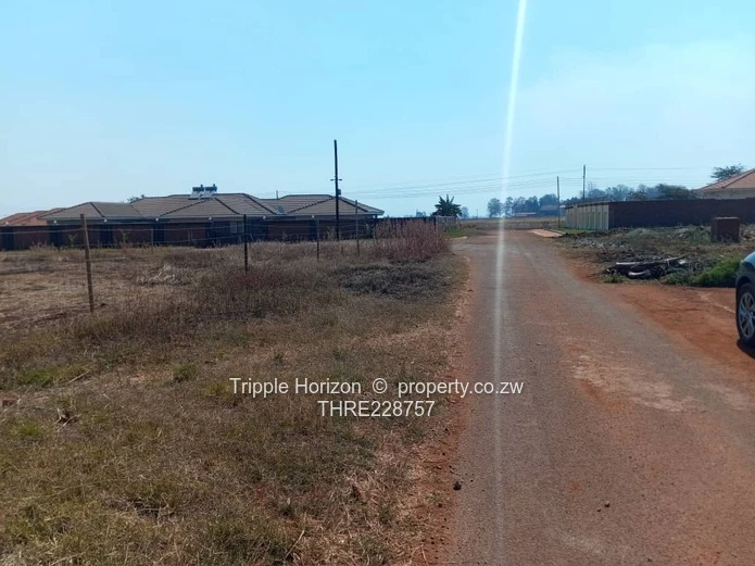 Investment opportunity 