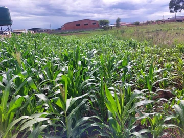 Commercial & Industrial Land