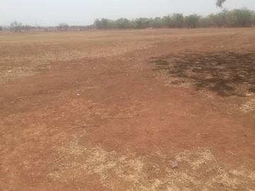 Farm & Agricultural Land