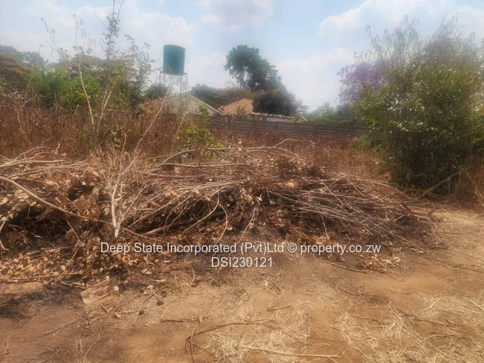 Malbereign stand for sale (Sole Mandate)