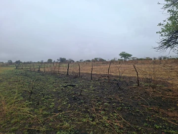 Farm & Agricultural Land