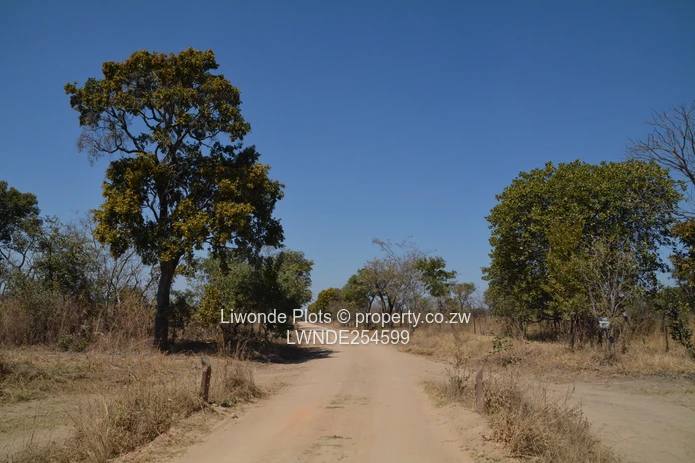 1ha Goromonzi Farm — Arable Field by Gravel Main Road