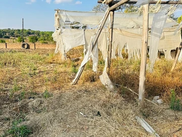 Farm & Agricultural Land