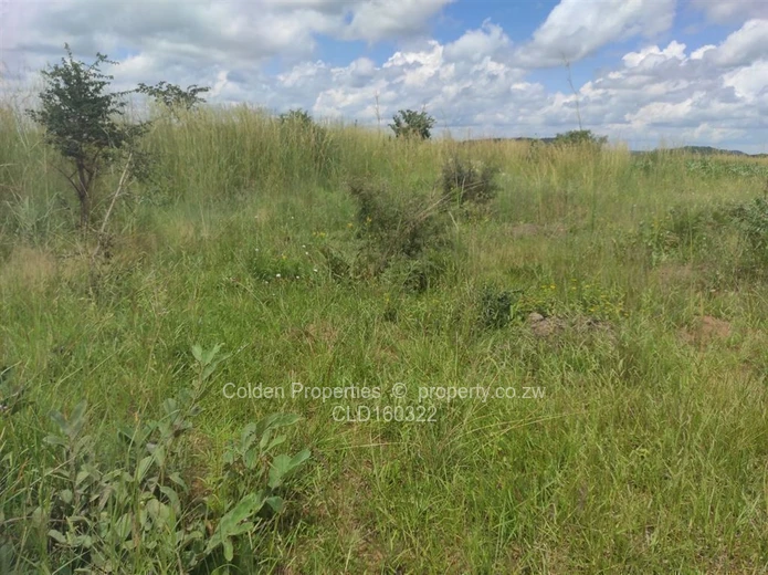 Stand For Sale In Spitzkop 