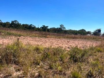 Farm & Agricultural Land