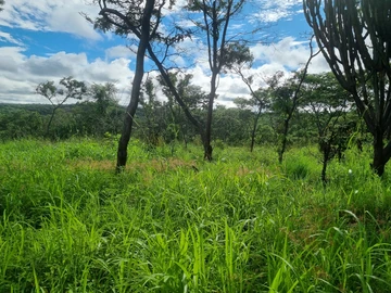 Farm & Agricultural Land