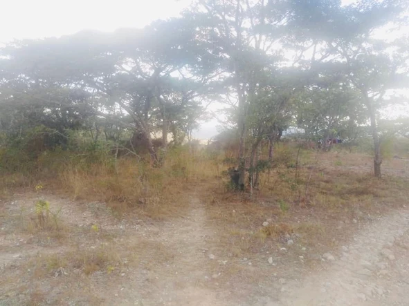 Farm & Agricultural Land