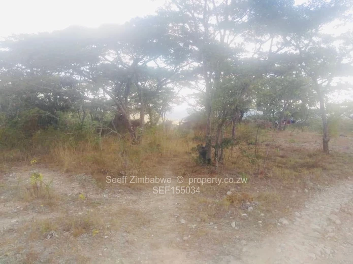 Experience The Nyanga Lifestyle, In Nature's Luxury