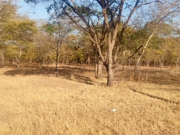 Farm & Agricultural Land