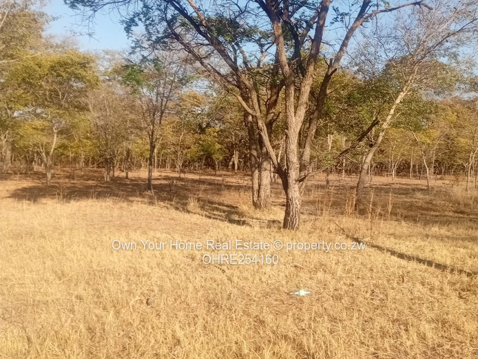 Beatrice Plot For Sale 