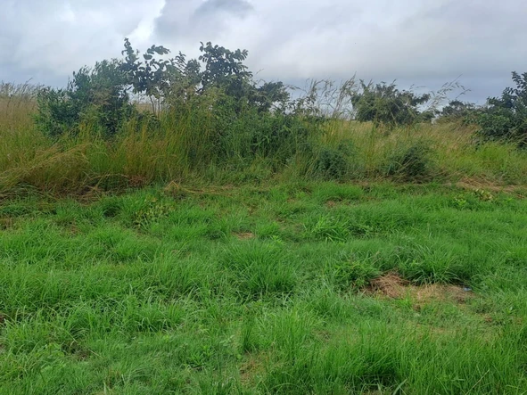 Commercial & Industrial Land