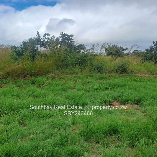  Grab this highway goldmine!  (Sole Mandate)