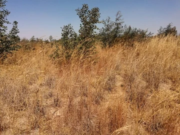 Residential Stands For Sale In Nyabira