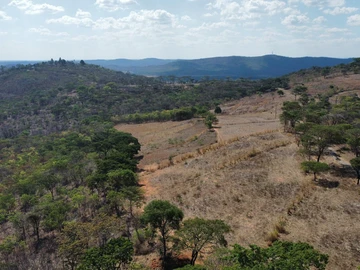 Farm & Agricultural Land