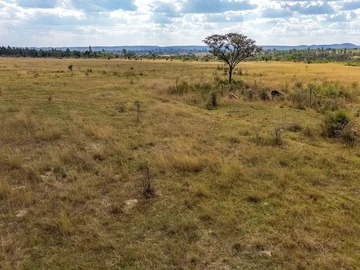 Farm & Agricultural Land