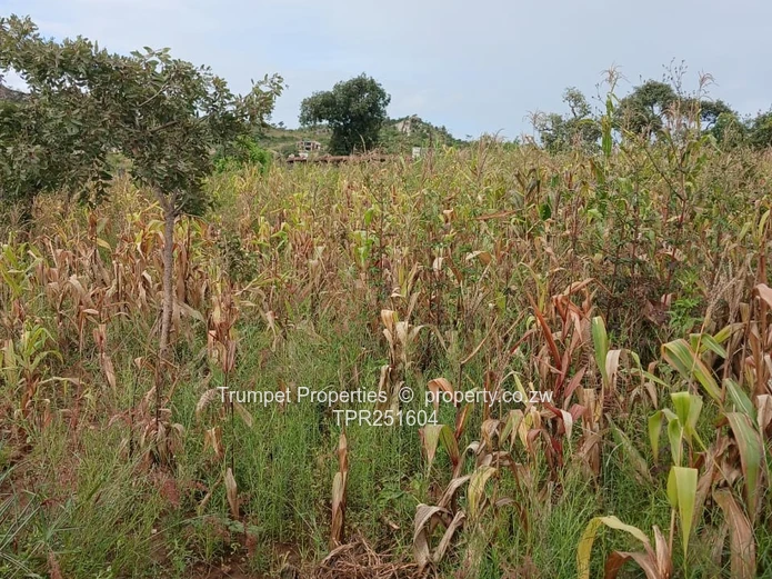 1000m2  Stand at Crowhill Views, Harare N – Gravel Road Access