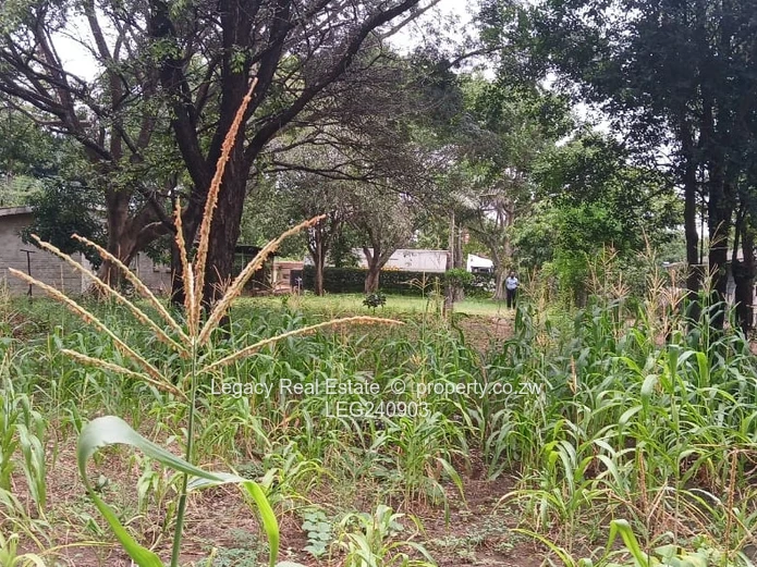 Chiredzi Suburban House – 2,100sqm Stand, Double Garage