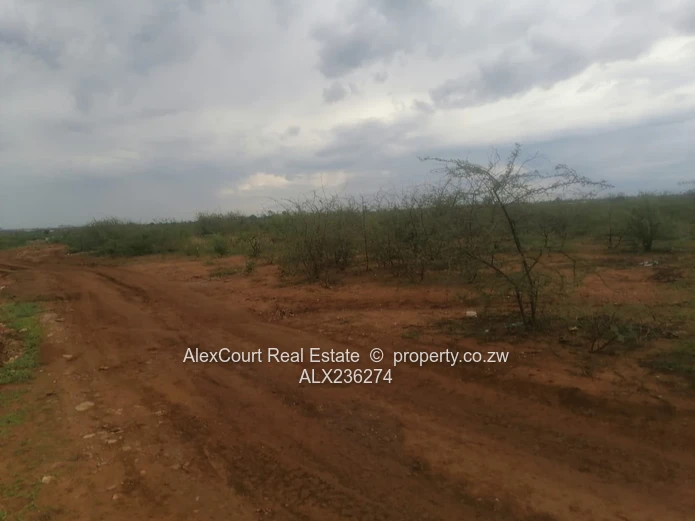 2-hectare (5-acre) Plot Up For Grabs!