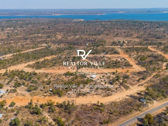 Lake City Stands For Sale  (Sole Mandate)