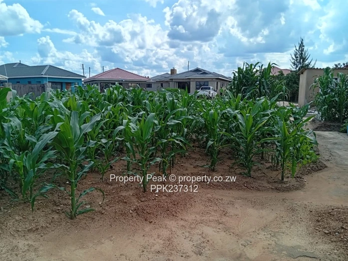 Budiriro 4 Corner Stand For Sale