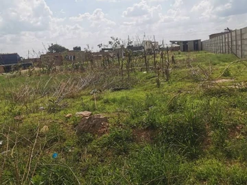 Commercial & Industrial Land