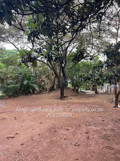 Mt Pleasant Northwood Land for Sale