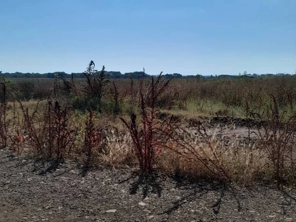 **Discover Your Dream Stand in Spitzkop, Harare West – 400 m²!**