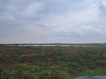 Farm & Agricultural Land