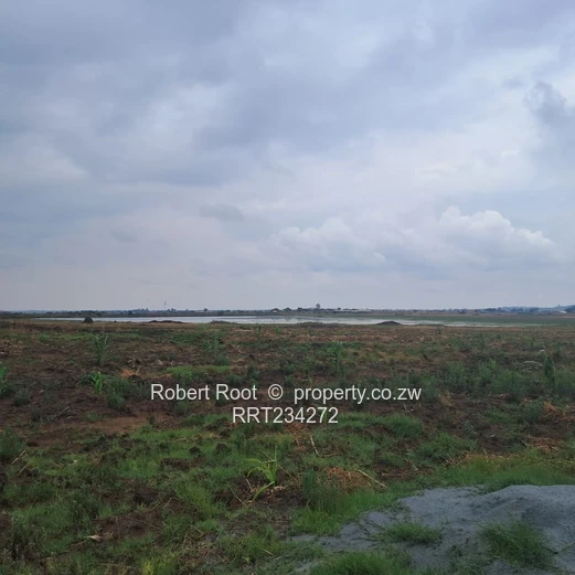 Close to Kirkman Drive (Sole Mandate)