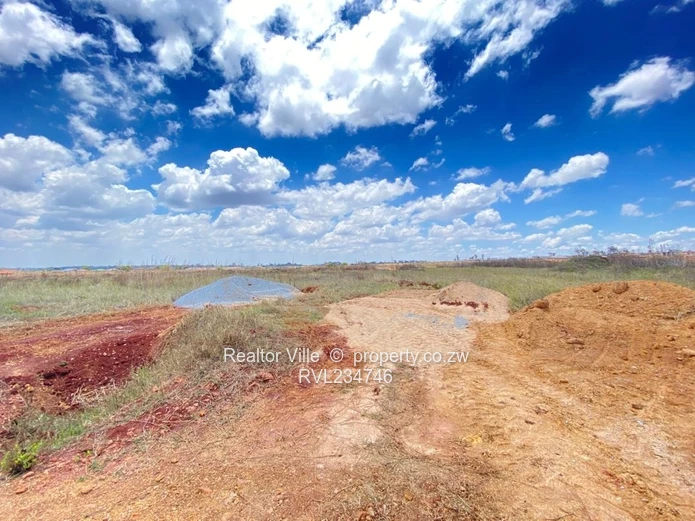 Nyeredzi Ridge Stands for Sale 